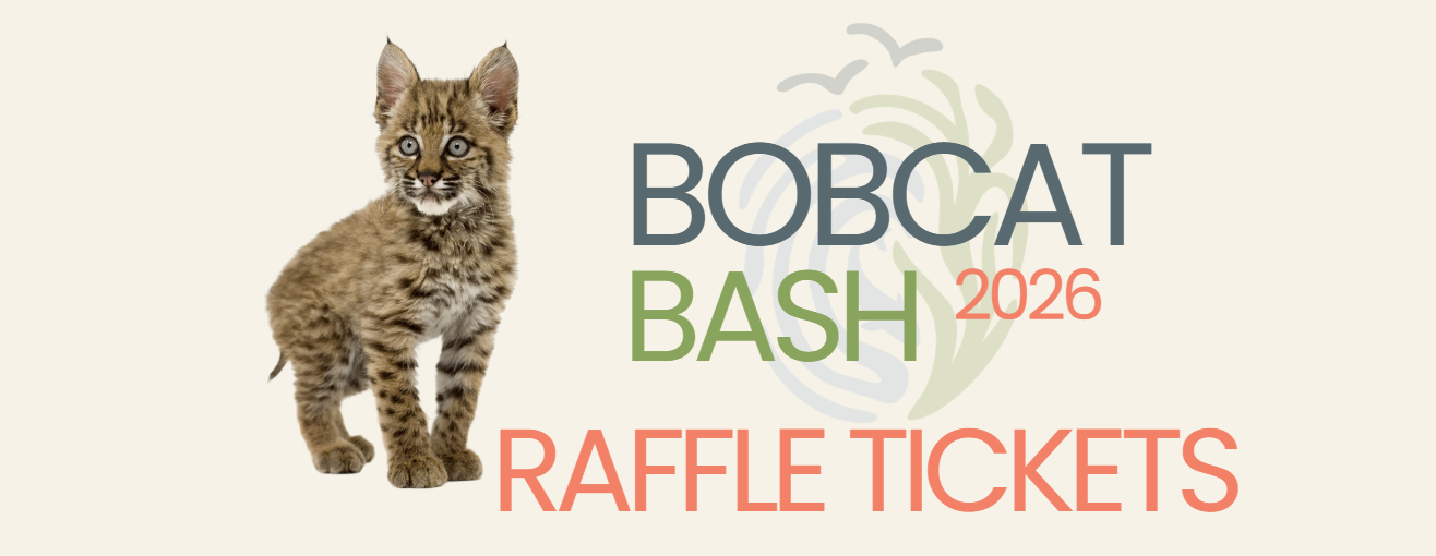 2026 Bobcat Bash Raffle